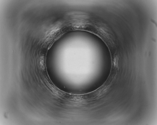 X0000103271396200808291229