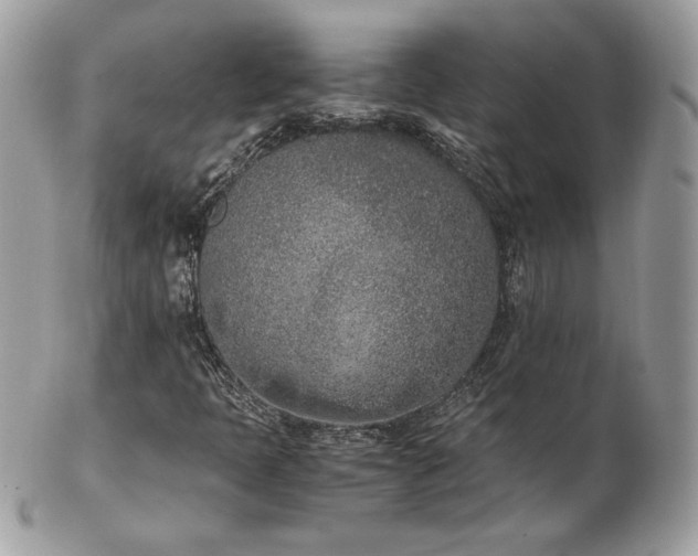 X0000103271397200808291229