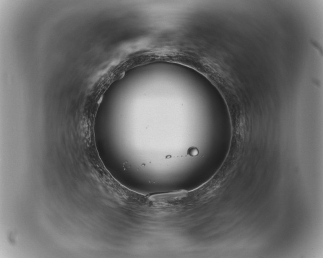 X0000103271398200808291229