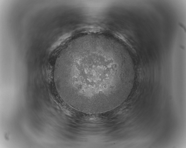 X0000103271399200808291229