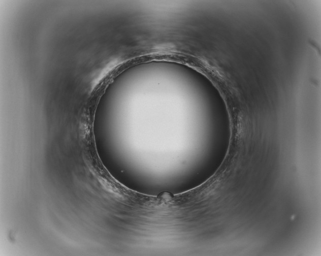 X0000103271400200808291229