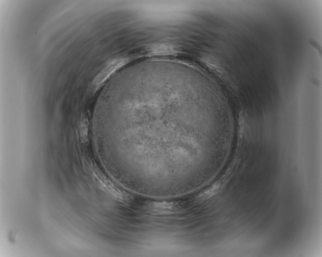 X0000103271401200808291229