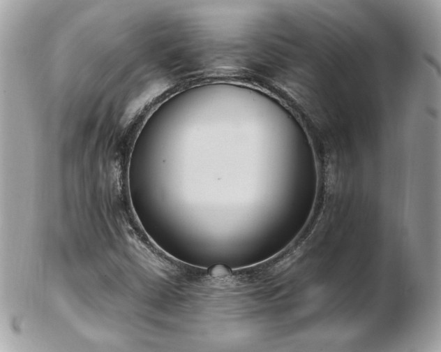 X0000103271402200808291229