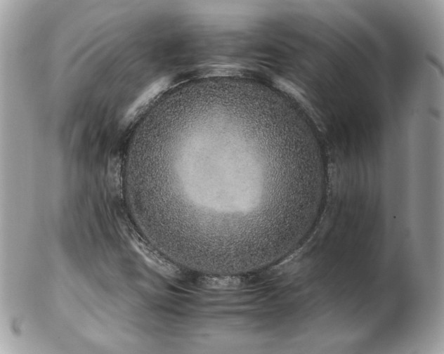 X0000103271403200808291229