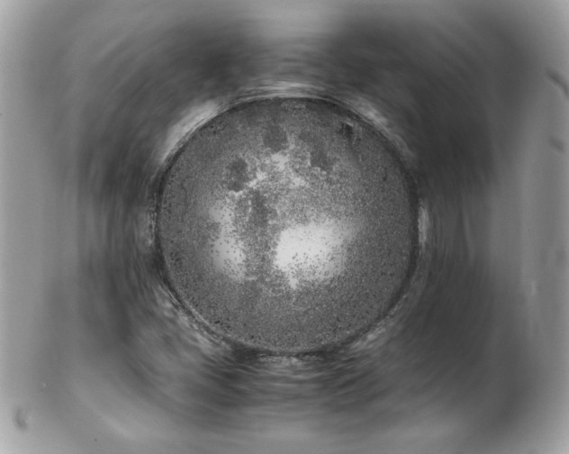 X0000103271405200808291229