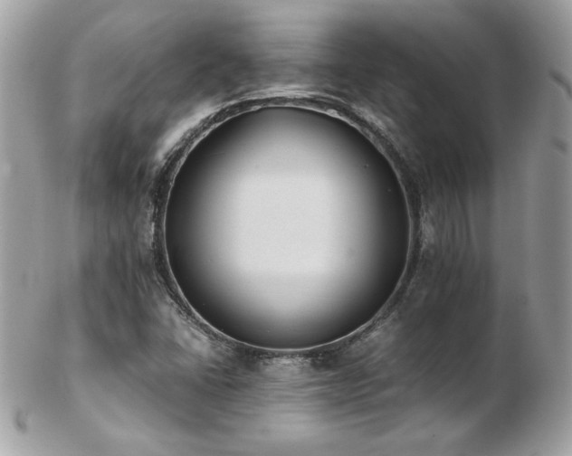 X0000103271406200808291230