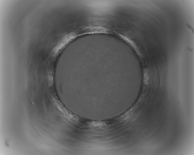 X0000103271407200808291230