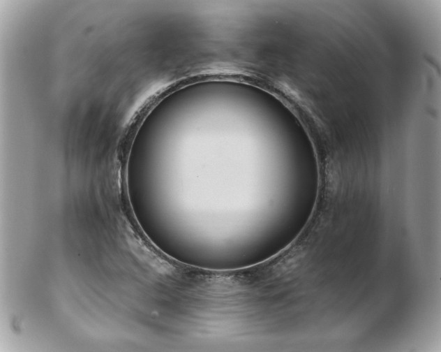 X0000103271408200808291230