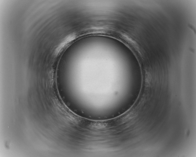 X0000103271411200808291230