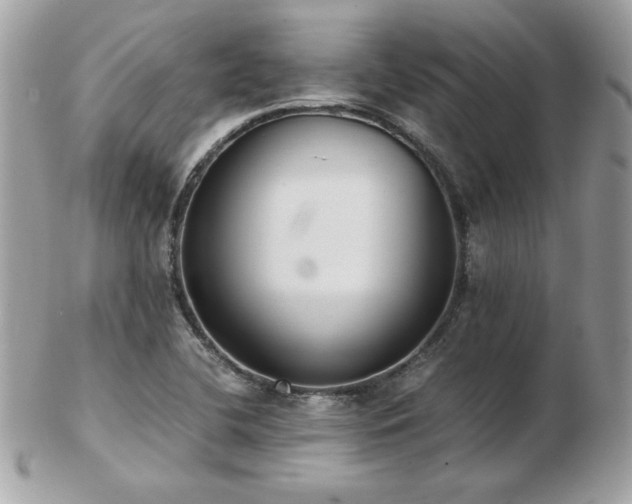 X0000103271412200808291230