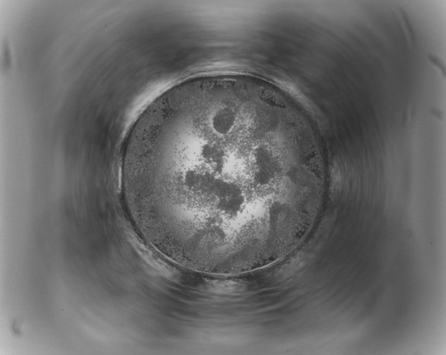 X0000103271413200808291230