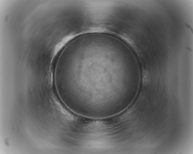 X0000103271414200808291230