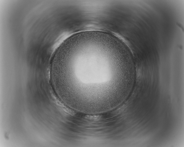 X0000103271415200808291230