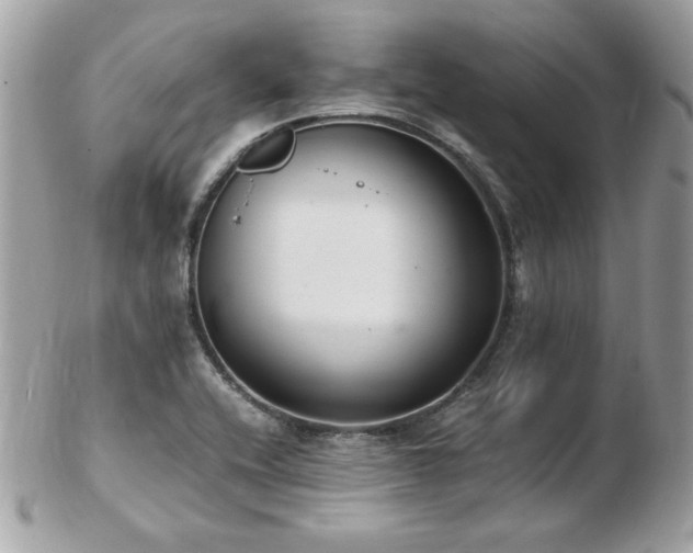 X0000103271416200808291230