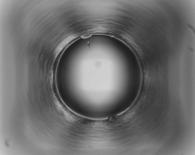 X0000103271418200808291230