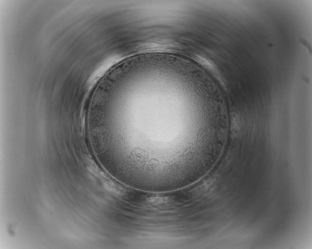 X0000103271419200808291230