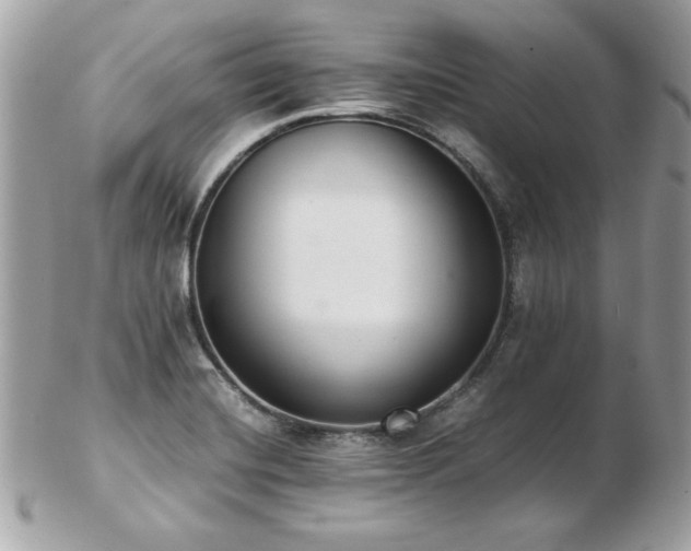 X0000103271420200808291230