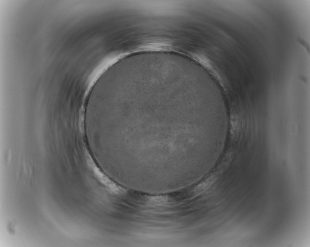 X0000103271421200808291230