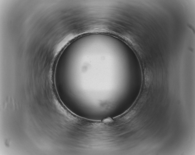 X0000103271422200808291230