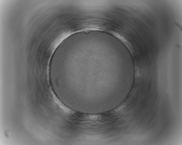 X0000103271423200808291230