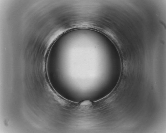 X0000103271424200808291230