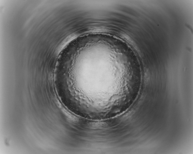 X0000103271425200808291230