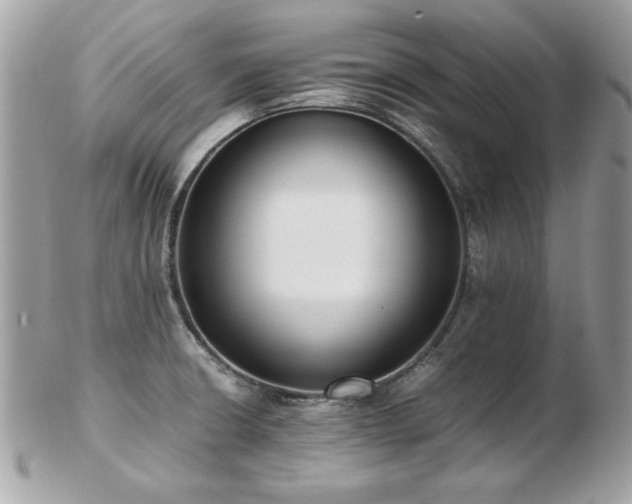 X0000103271426200808291230