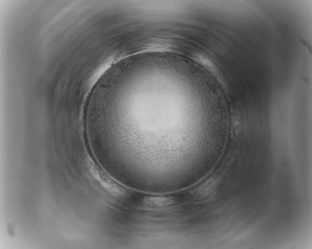 X0000103271427200808291230