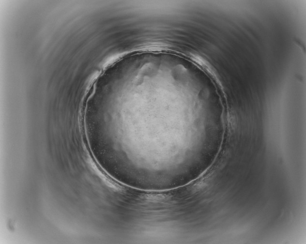 X0000103271429200808291230