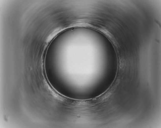 X0000103271430200808291230