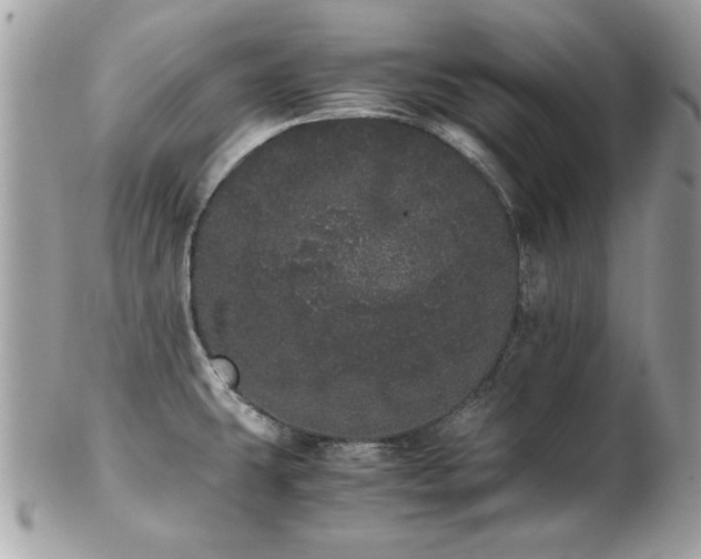 X0000103271431200808291230