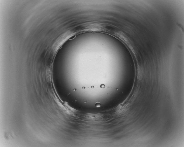 X0000103271433200808291230