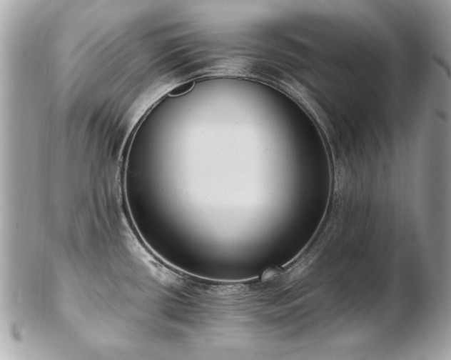 X0000103271434200808291230