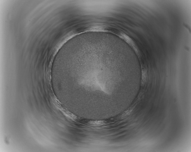 X0000103271435200808291230