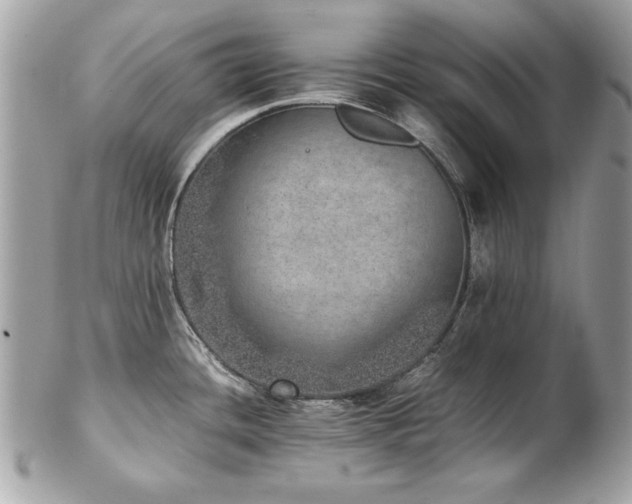 X0000103271436200808291230