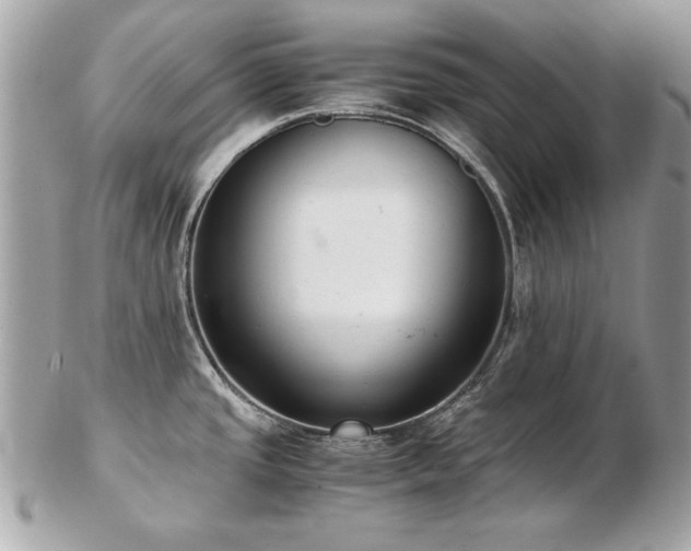 X0000103271437200808291230