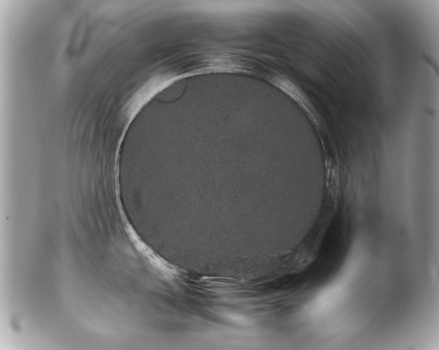 X0000103271439200808291230