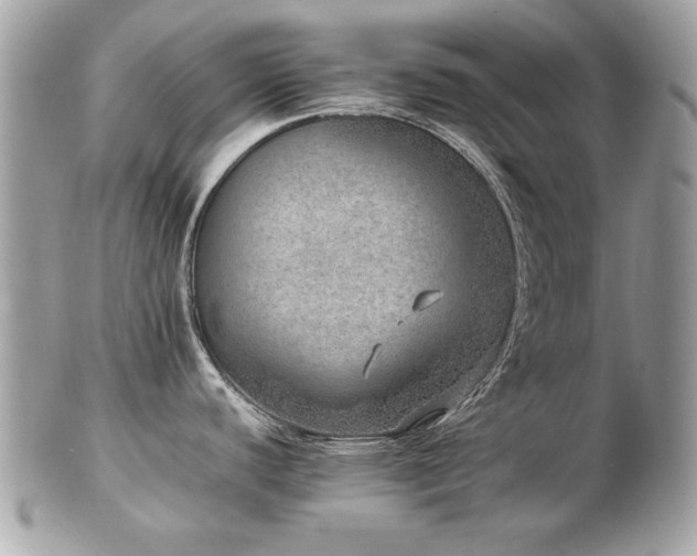 X0000103271440200808291230