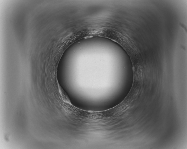 X0000103271441200808291229