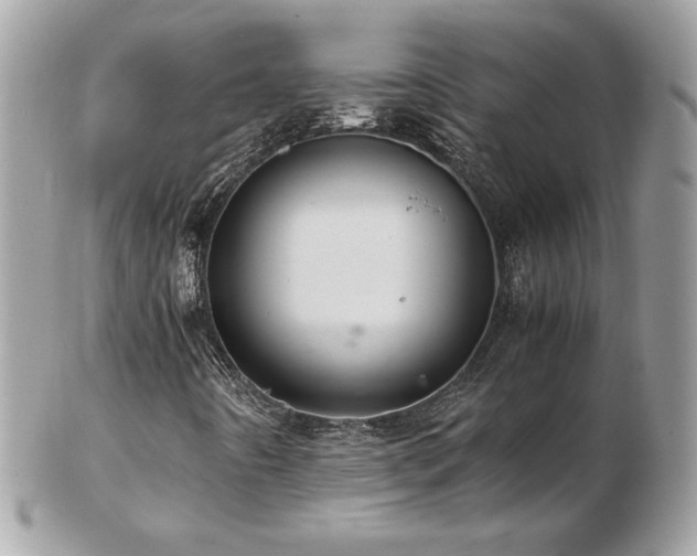 X0000103271442200808291229