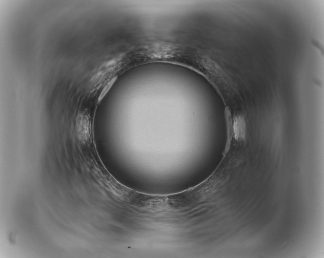 X0000103271444200808291229