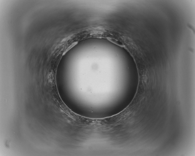 X0000103271445200808291229