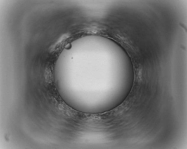 X0000103271446200808291229