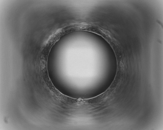 X0000103271447200808291229