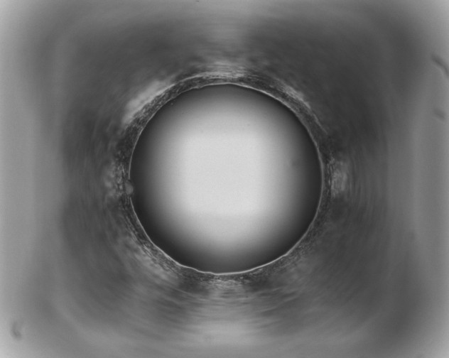 X0000103271448200808291229