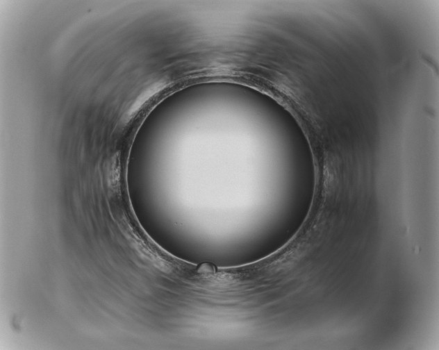 X0000103271450200808291229