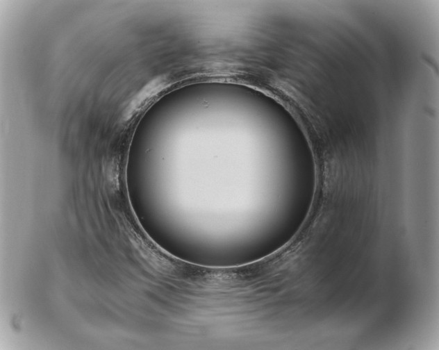 X0000103271451200808291229