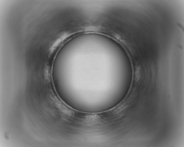 X0000103271454200808291229