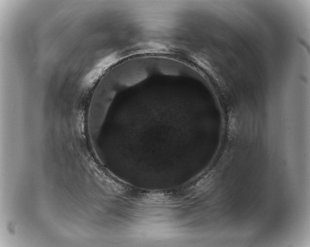 X0000103271455200808291229