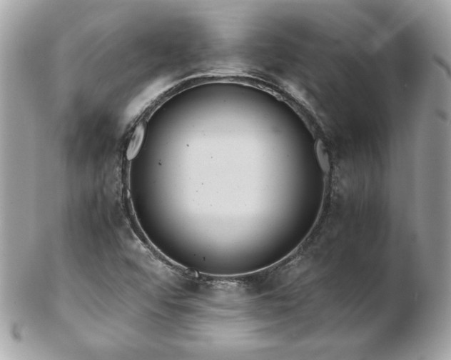 X0000103271456200808291229